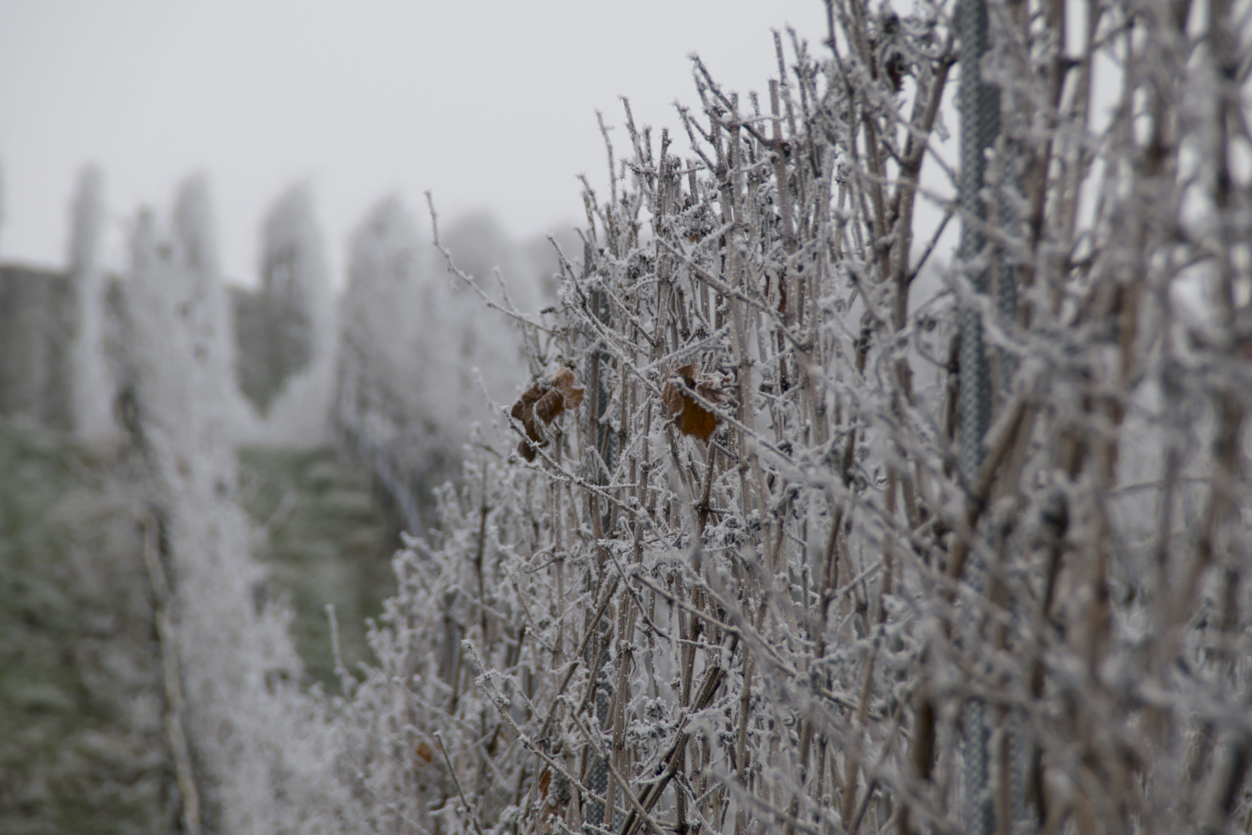 DSC_0013-scaled.jpg