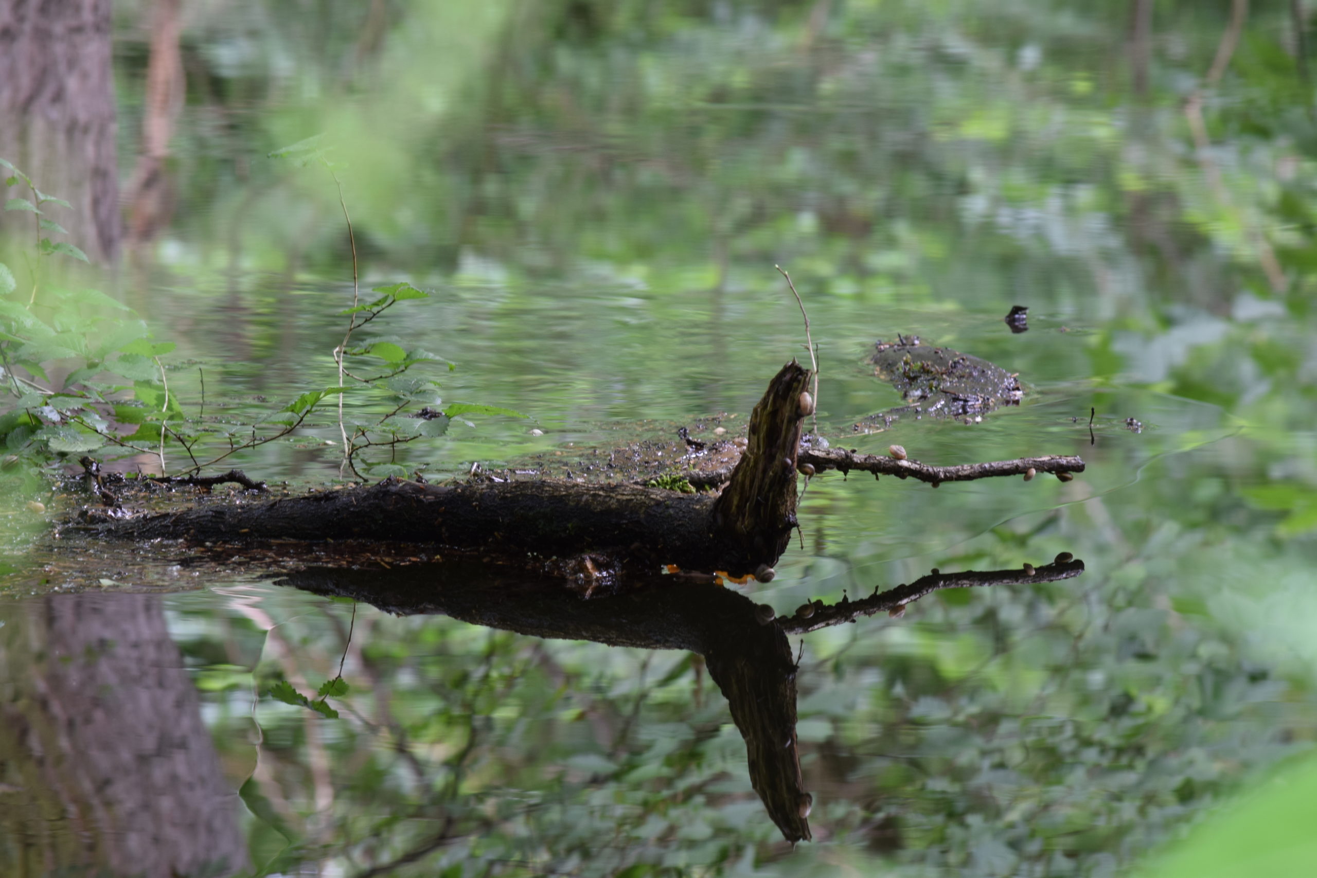 DSC_1814-scaled.jpg