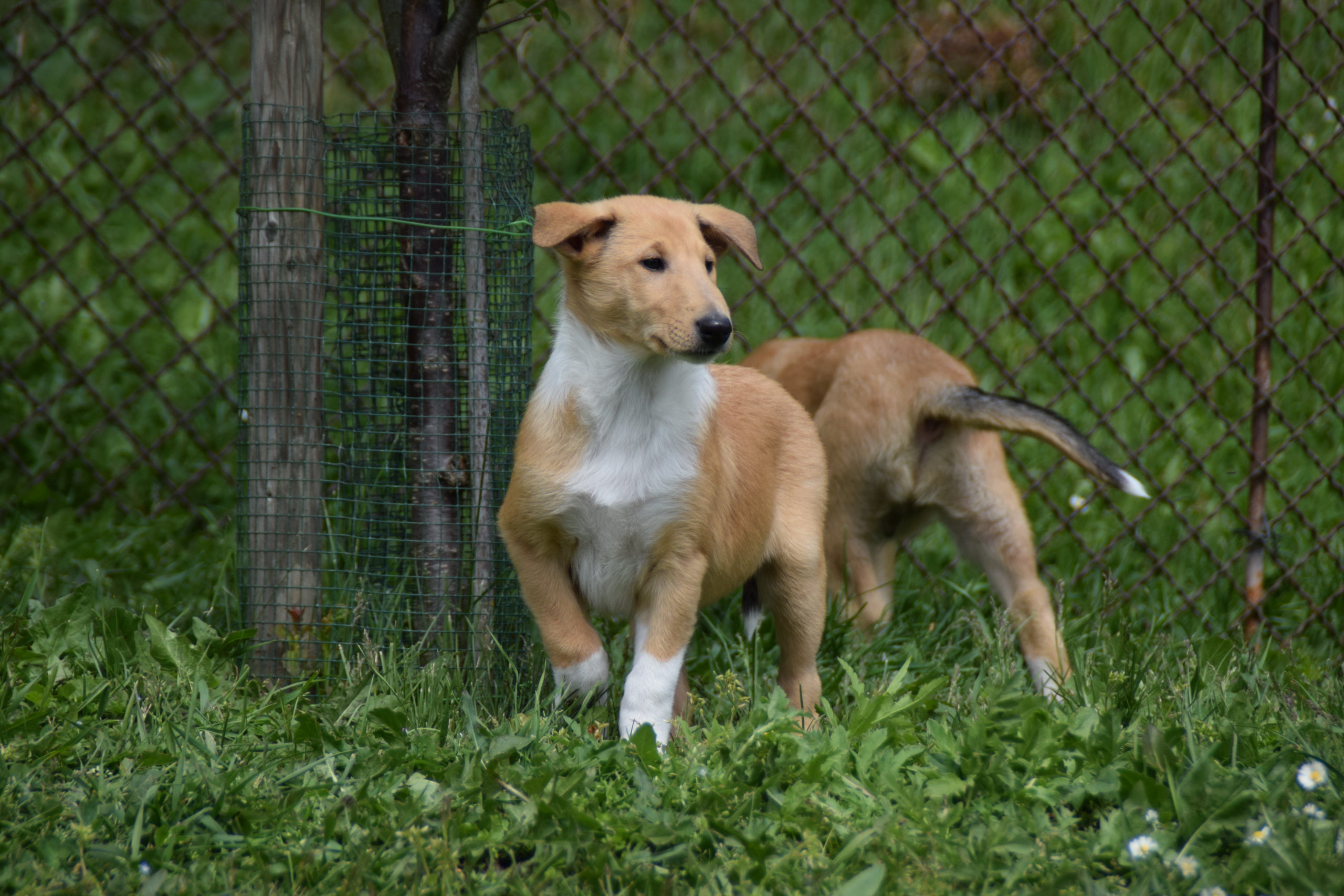 DSC_1503-scaled.jpg