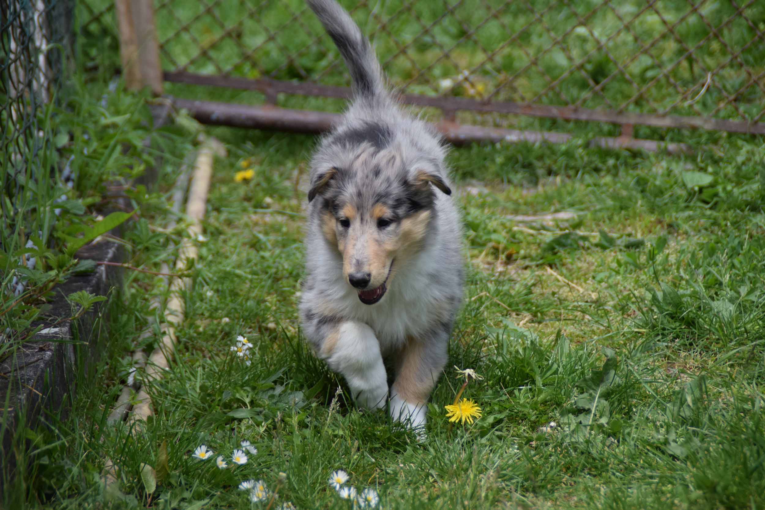 DSC_1506-Kopie-2.jpg